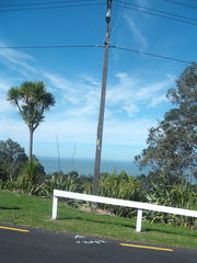 Protoblastenia rupestris