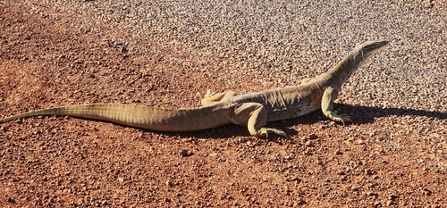Eastern Argus Monitor