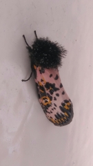 Xanthopastis moctezuma