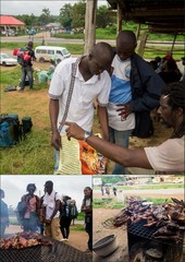 Phataginus tricuspis