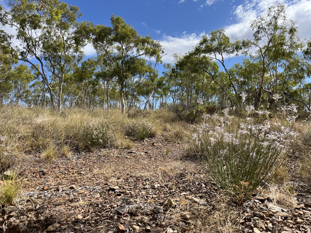 Remote Australian outback landscape