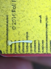 Toxicoscordion exaltatum