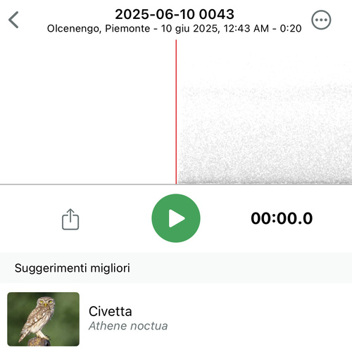 View observation of {o.common_name} on iNaturalist