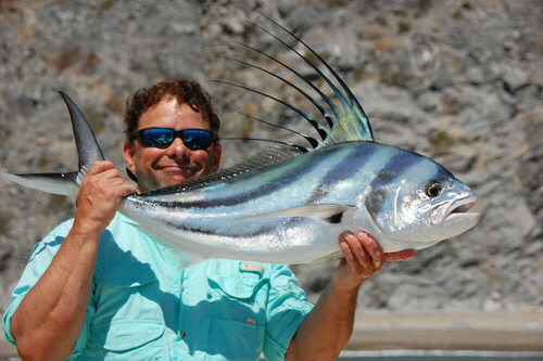 Roosterfish
