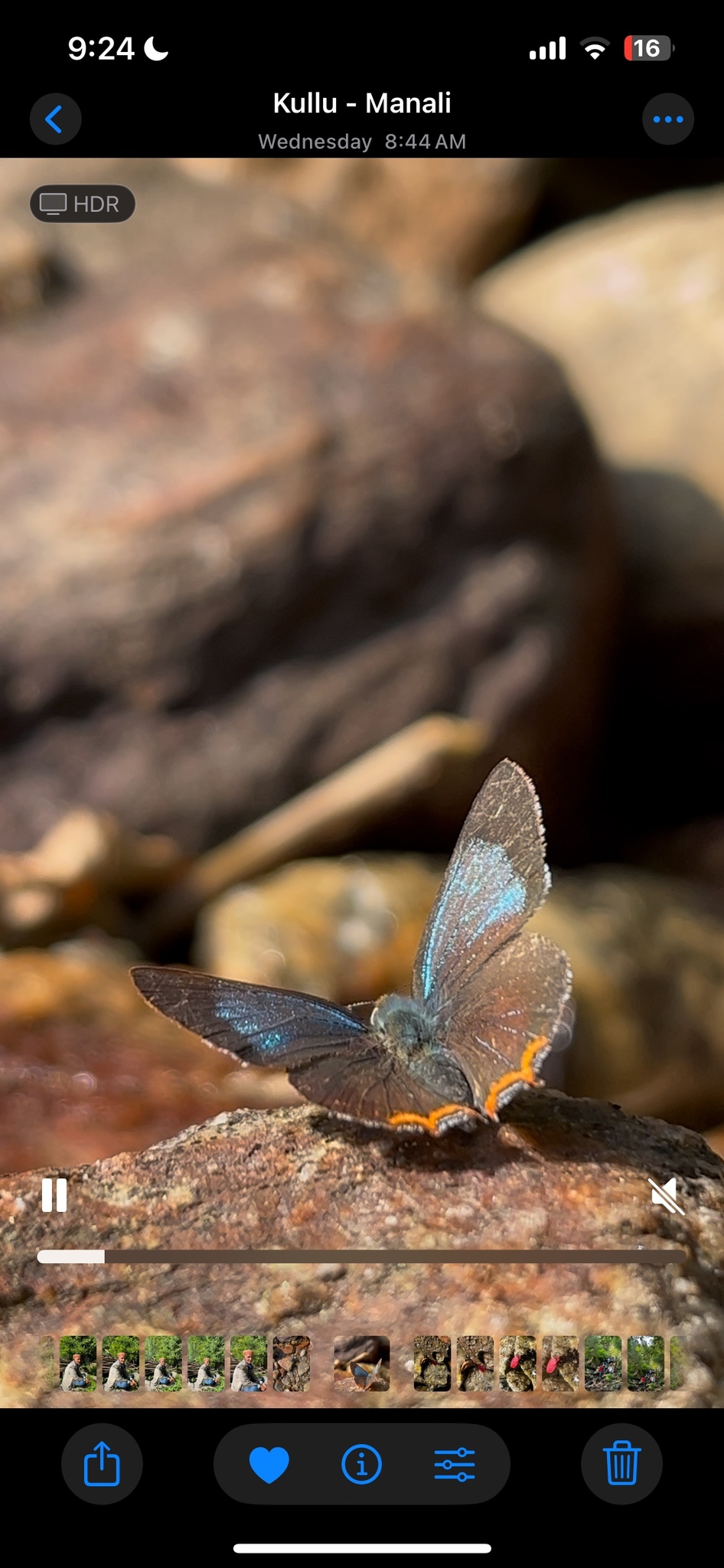 Azure Sapphire