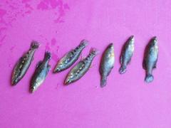 Zoogoneticus purhepechus