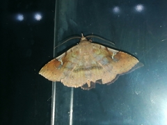 Azeta