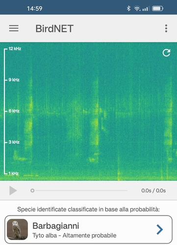 View observation of {o.common_name} on iNaturalist