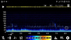 Pipistrellus abramus