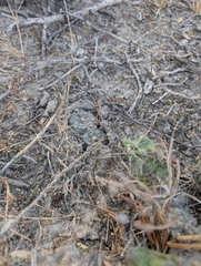 © Aron René Kirchhoff, some rights reserved (CC-BY-NC)