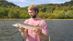 Acipenser brevirostrum