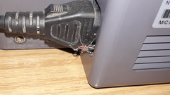 Cosmoclopius poecilus