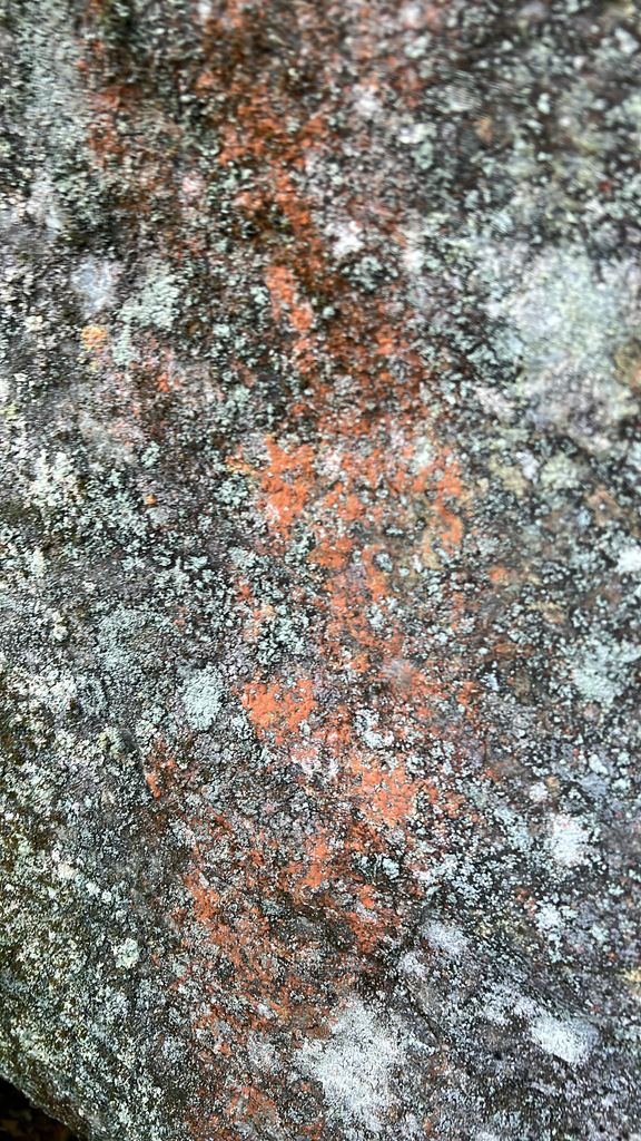 Orange Rock Hair