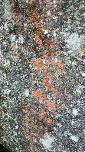 Orange Rock Hair