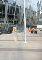 Geothlypis philadelphia