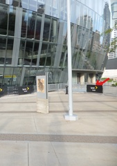 Leiothlypis ruficapilla