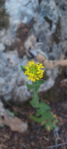 Penasco Blanco Trail