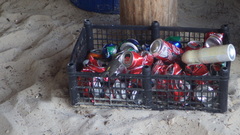 Coereba flaveola caboti