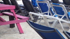 Coereba flaveola caboti