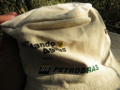 Coptocycla virguncula