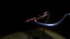 Lampropeltis polyzona