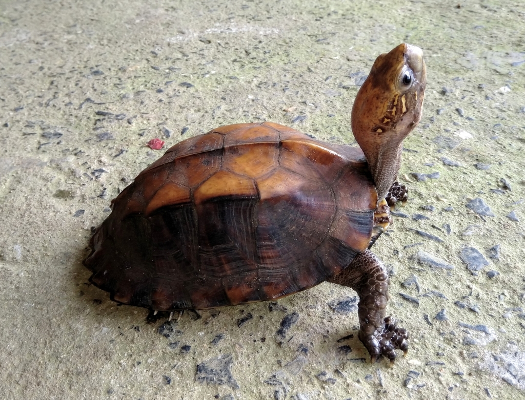 Photo by Bug's eyes photography