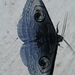 Spirama