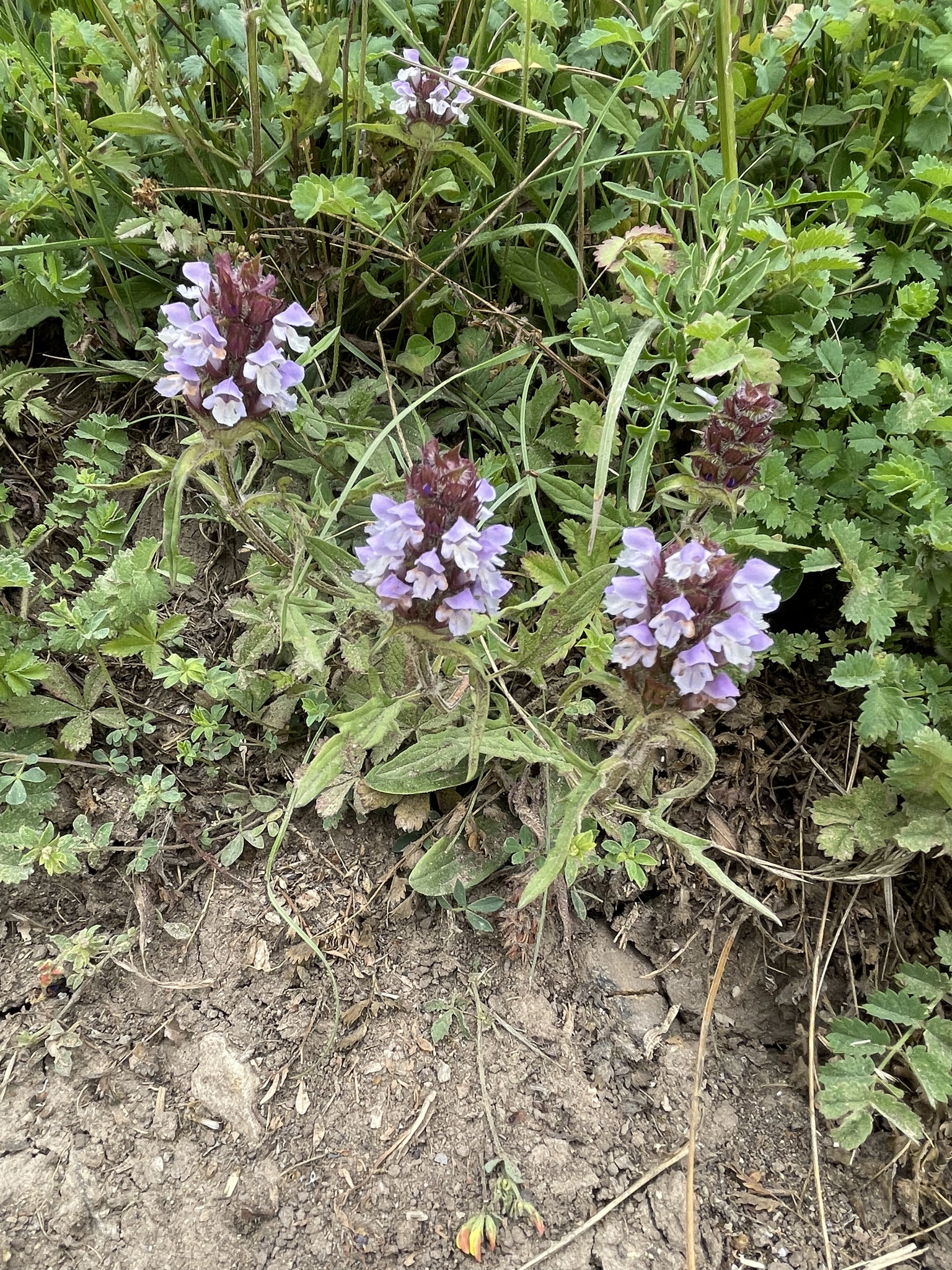 Self-heal