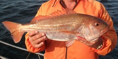 Carpenter photo 2
