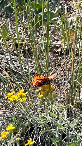 Button Rock Trail