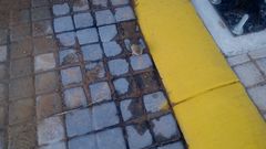 Anaxyrus compactilis