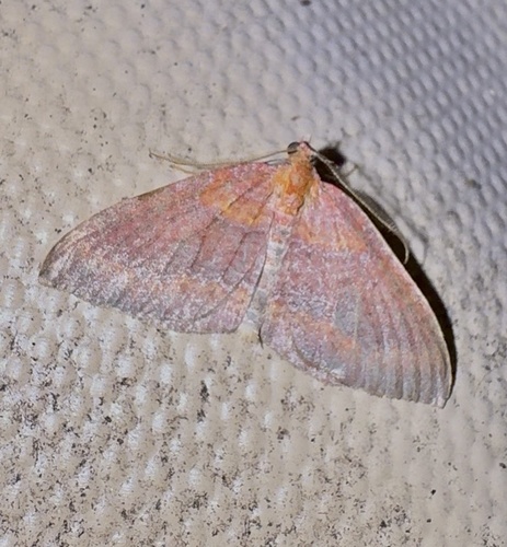 Kauaiina observed 2025-06-23