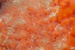 Entoprocta