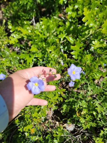 Beus Canyon Trail