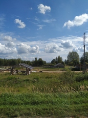 Calamagrostis epigejos