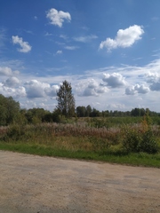 Chamaenerion angustifolium