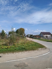 Heracleum sosnowskyi