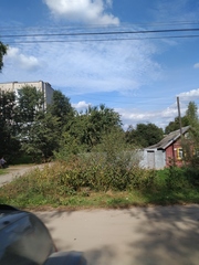 Impatiens glandulifera