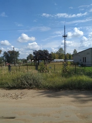 Calamagrostis epigejos