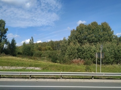 Chamaenerion angustifolium