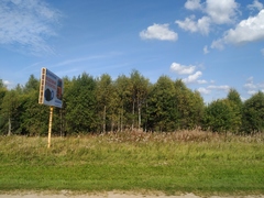 Chamaenerion angustifolium