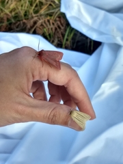 Psectraglaea carnosa