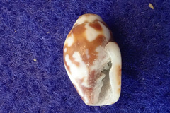 Mitra