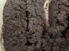 Scleroderma flavidum macrosporum