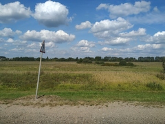 Calamagrostis epigejos