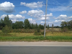 Chamaenerion angustifolium