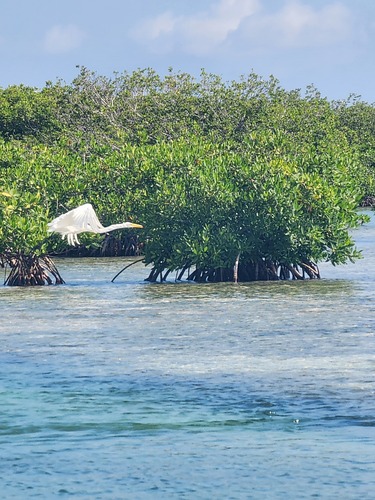 Cayo Juan Grín