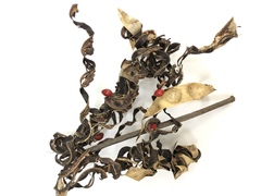 Adenanthera microsperma