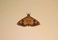 Isocentris