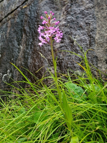 Fork Ridge Trail